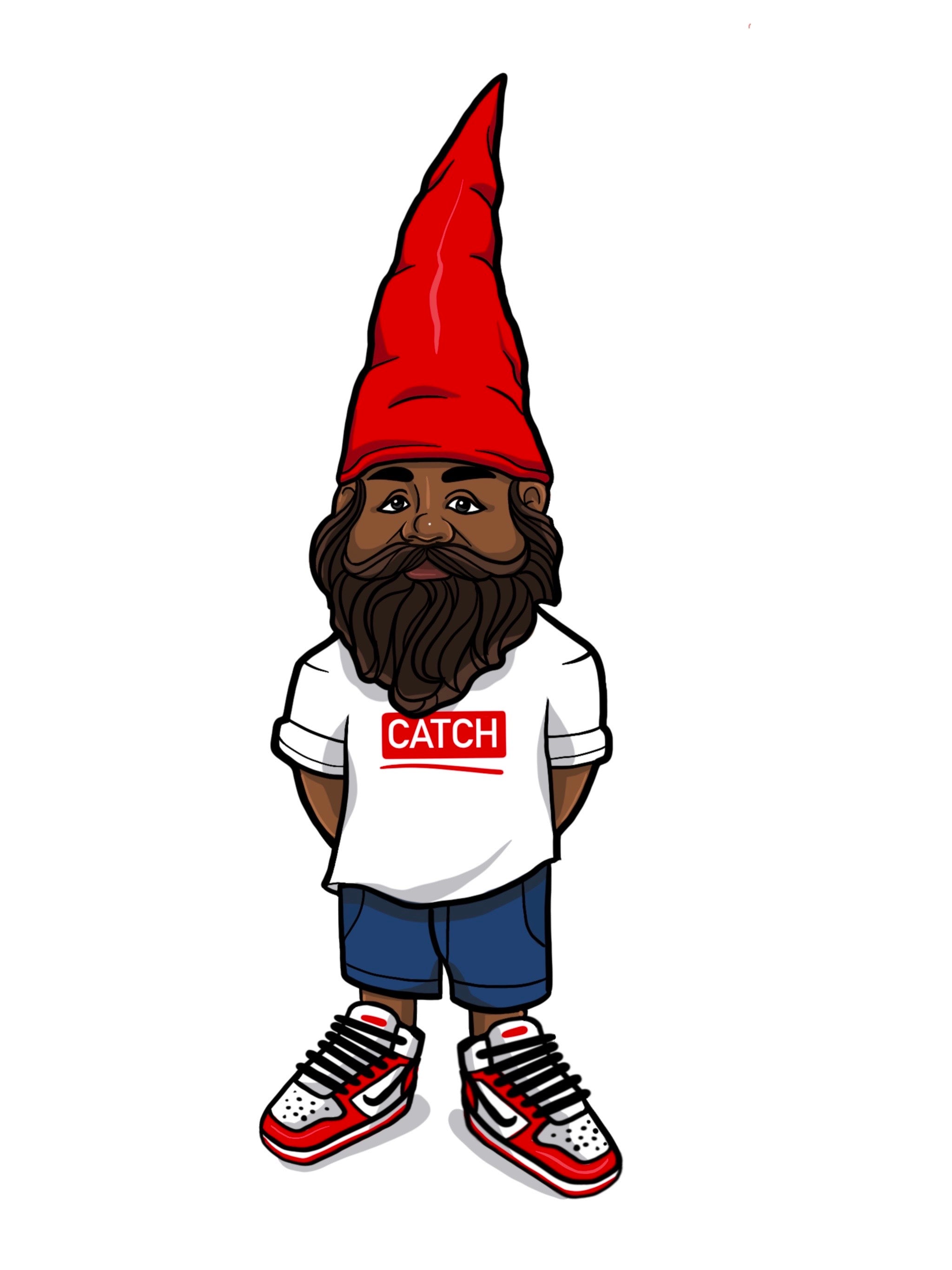 thegnomecatch